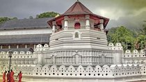 07 Days Highlights of Srilanka