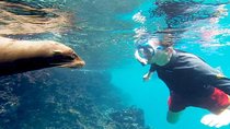 Full Day Santa Fe & " Playa escondida" snorkeling tour