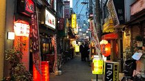 Private Tokyo Food Tour - Retro Akabane Izakaya Experience