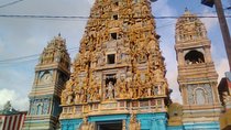 Privet Full-day Sightseeing Tour of Colombo