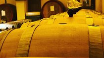 Private Top Brunello Montalcino Wine Tour & Food Pairing Session