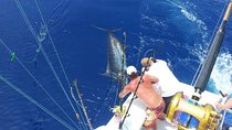 Deep Sea Fishing Tour