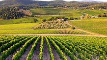 Private guided tour: Siena San Gimignano and Chianti