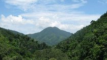 Blue Mountain Bicycle Tour from Runaway Bay