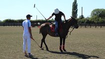 Horse & Polo in Windsor, UK