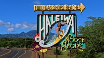 Private North Shore of Oahu Tour