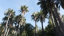 Explore the Coastal Mountains - Private Day Trip from Santiago