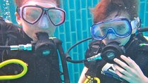 PADI Bubblemaker 