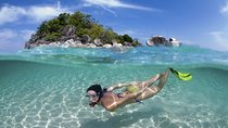 Coral Island Speedboat Adventure