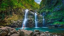 Famous Road to Hana Waterfalls and Lunch by Mercedes Van