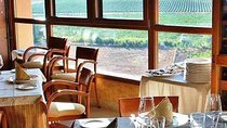 Madrid Wineries Private Tour with Hotel Pickup and Lunch