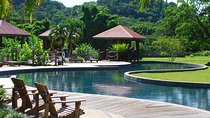 Black River Safari | YS Falls | Day Tour with Pelican Bar | from Montego Bay