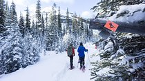 Snowshoeing in Kananaskis