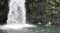 Private Tour : OAHU, MAUI, KAUAI or BIG ISLAND : Pick any Island 