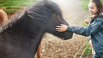 Private Golden Circle and Horse Riding Tour from Reykjavik