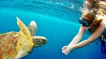 Explore Surin Islands: Ultimate Snorkeling Day Trip from Phuket
