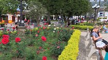 Coffee Plantation in Jardin and City sightseeing Tour