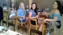 Wine Tour and Santiago City in a Small Group