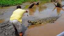 Crocodiles Safari & Zipline adventure - Private Sightseeing Tours