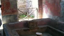 Private Exclusive Tour of Pompeii ruins & wine tastings 