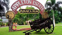 Private Appleton Estate Rum & YS Falls Tour from Montego Bay