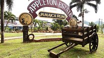 Appleton Estate Rum Tour and Tasting from Ocho Rios
