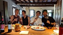 Small Group Chianti Wine Tasting with Seven Tuscan Wines 