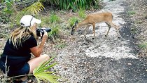 Full-Day Tour of Florida Keys Including Aquarium Encounters from Key West