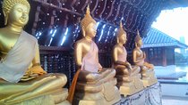 Colombo Walking Tour With Ayurvedic Learning