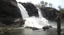 Athirapilly and Vazhachal Falls from Kochi with Lunch