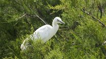 Karnala Bird Sanctuary Excursion From Mumbai