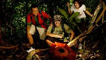 Amazing Taman Negara Day Trip from Kuala Lumpur Including Lunch