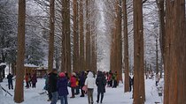  Private Tour Nami Island with Petite France 'and/or' The Garden of Morning Calm