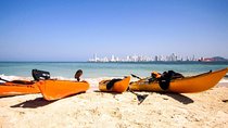 Punta Arena Excursion Kayak