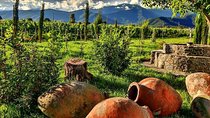 Kakheti-Wine Region Full-Day Superior Private Guided Tour & Organic Wine Tasting