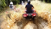 ATV & Canopy Tour From Flamingo Beach