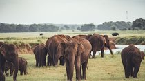 Kaudulla national park from Negombo inclusive of jeep safari