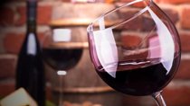 Mendoza Wine Route A Full Day Private Excursion