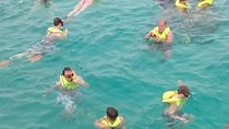 Private Double Reef Snorkel Tour with Optional Parasail Upgrade