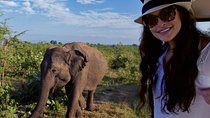 Udawalawe National park with Elephant Transit Home From Colombo