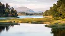 Cairngorms & Whisky Day Tour from Inverness Including Admission