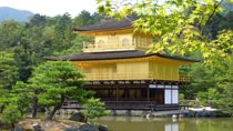 Private Kyoto Custom One Day Tour by Chartered Vehicle