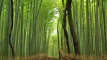 Private Kyoto Arashiyama Custom Half-Day Tour by Chartered Vehicle