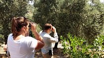 Bird Watching Tour from Kusadasi