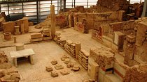 Kusadasi Port Private Ephesus Tour & Terrace Houses with LUNCH