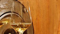Half day Venice cruise terminal shore excursion wine food tasting outlet village