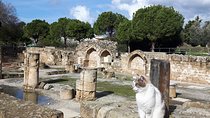 Ancient City Of PAPHOS