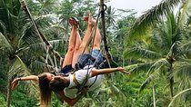 Alas Harum Bali Cretya Tegalalang Rice Terrace Ubud Swing Ticket