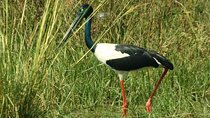 Bird Sanctuary, Bharatpur & Taj Mahal, Agra Day Tour from Delhi