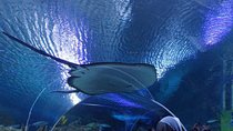 Private Tour: Kuala Lumpur City Highlights And Batu Cave Day Tour